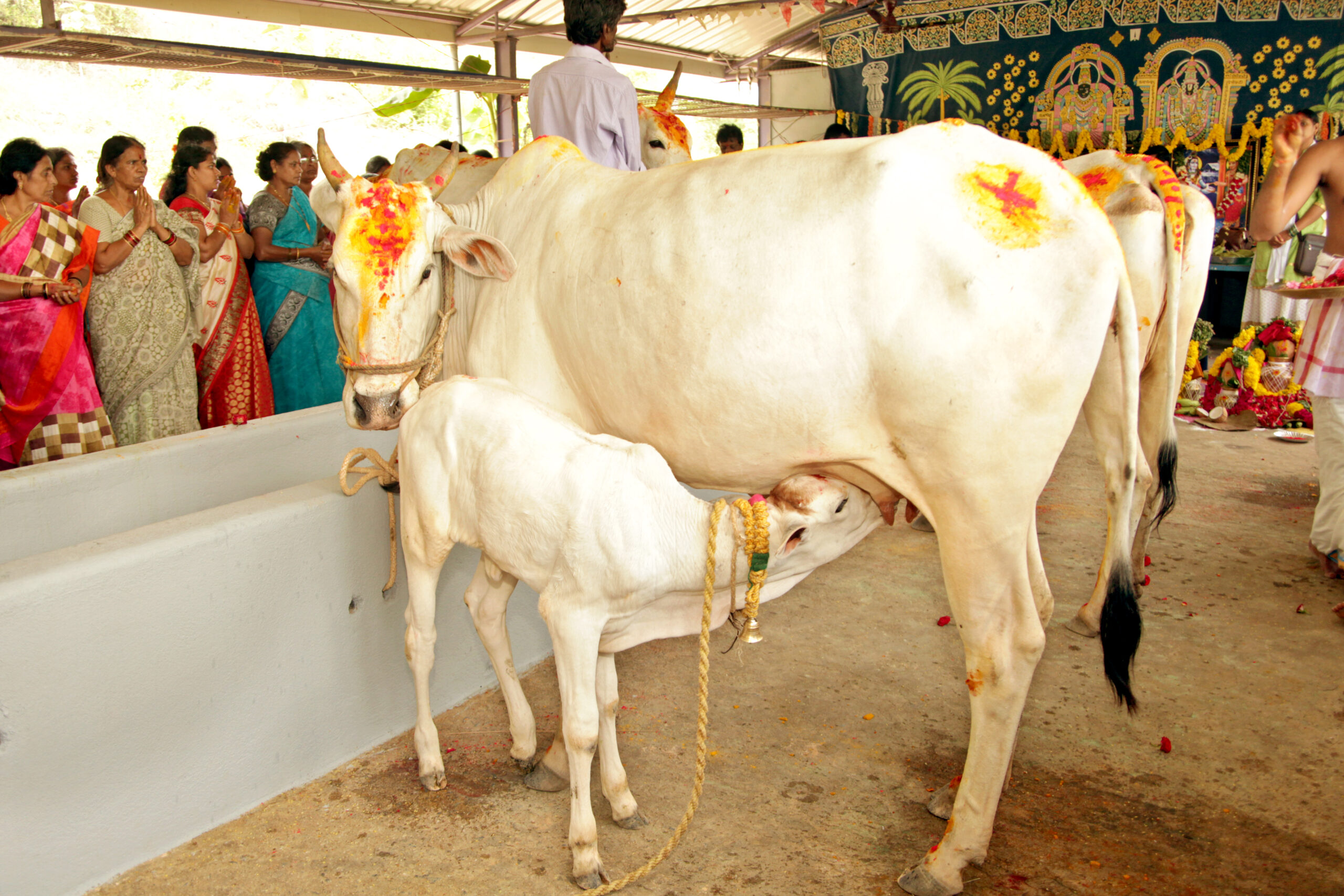 Devotees